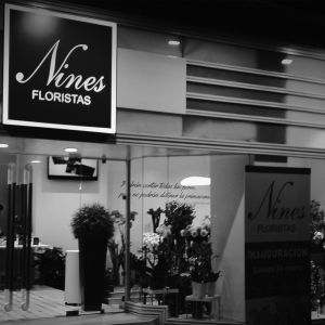 Floristería Nines 2 Diper