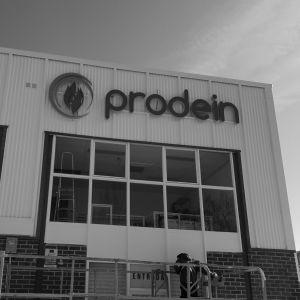 prodein Diper
